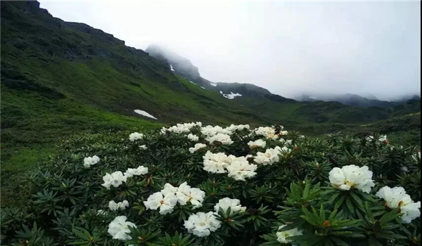 碧羅雪山